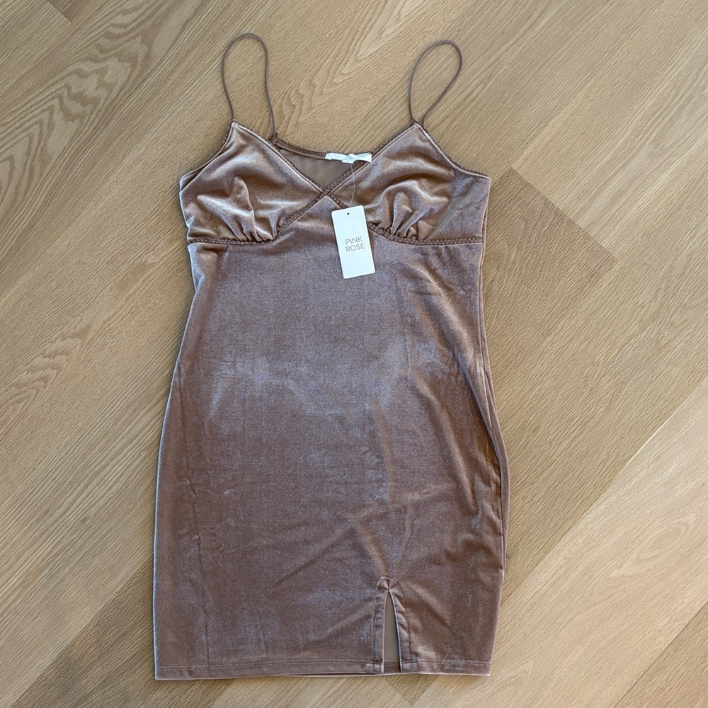 Pink Rose Velvet Mini Dress in Champaign color.